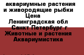 аквариумные растения и живородящие рыбки › Цена ­ 30 - Ленинградская обл., Санкт-Петербург г. Животные и растения » Аквариумистика   